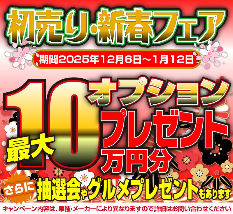 株式会社 カーパレスキング